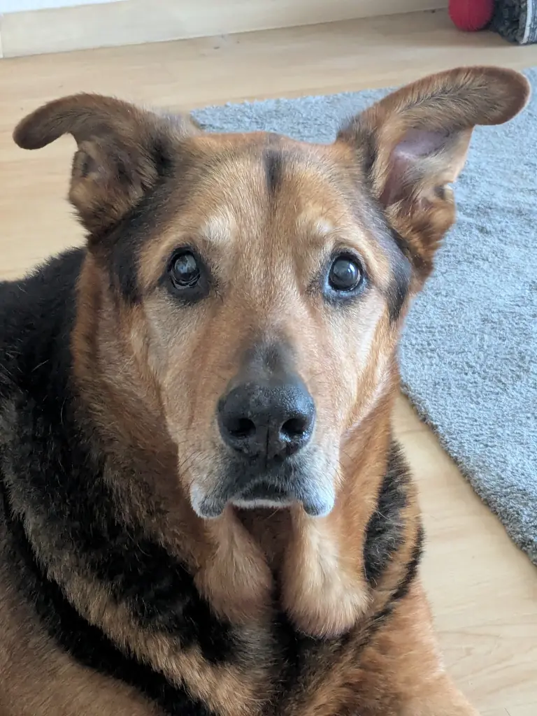 das letzte Foto... :- (