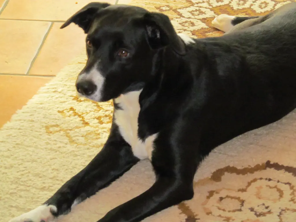 Condolence image of Ralf