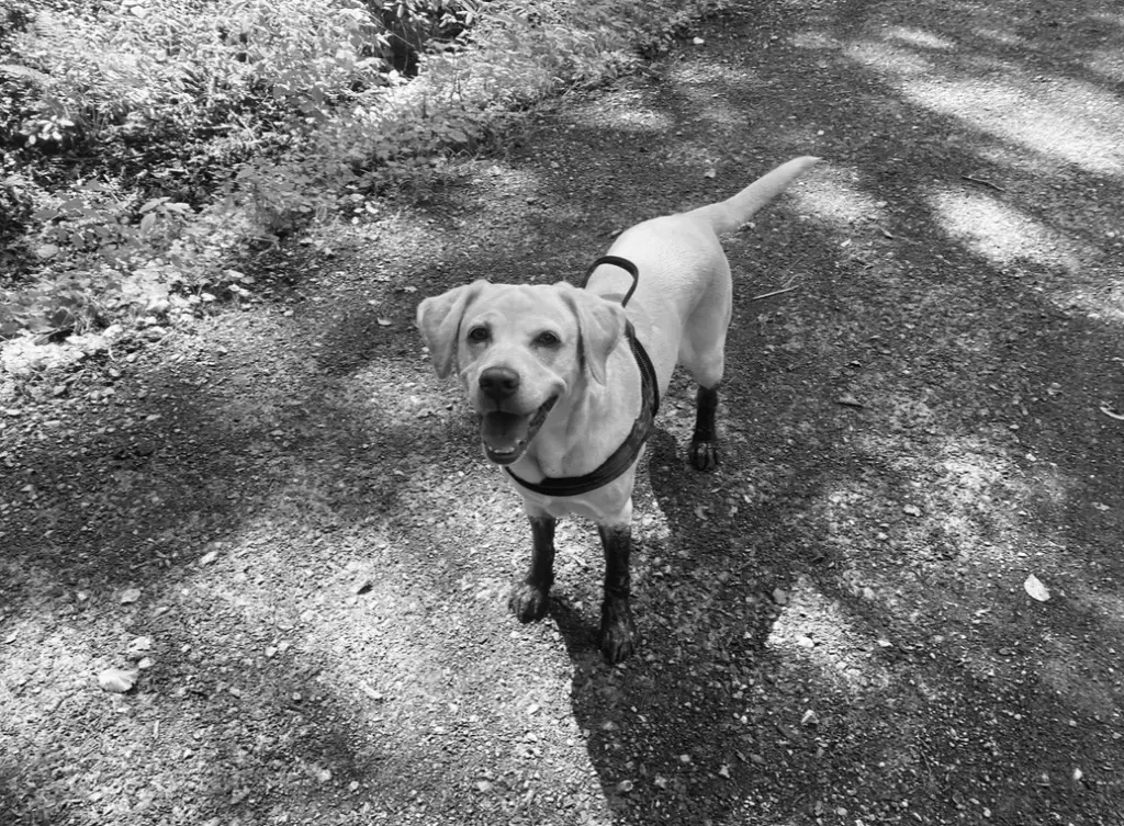 Bild von Emma