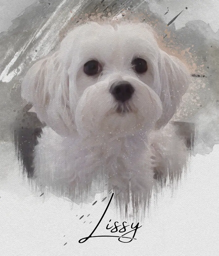 Image from Lissy