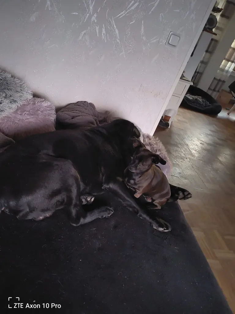Bild von Mailo