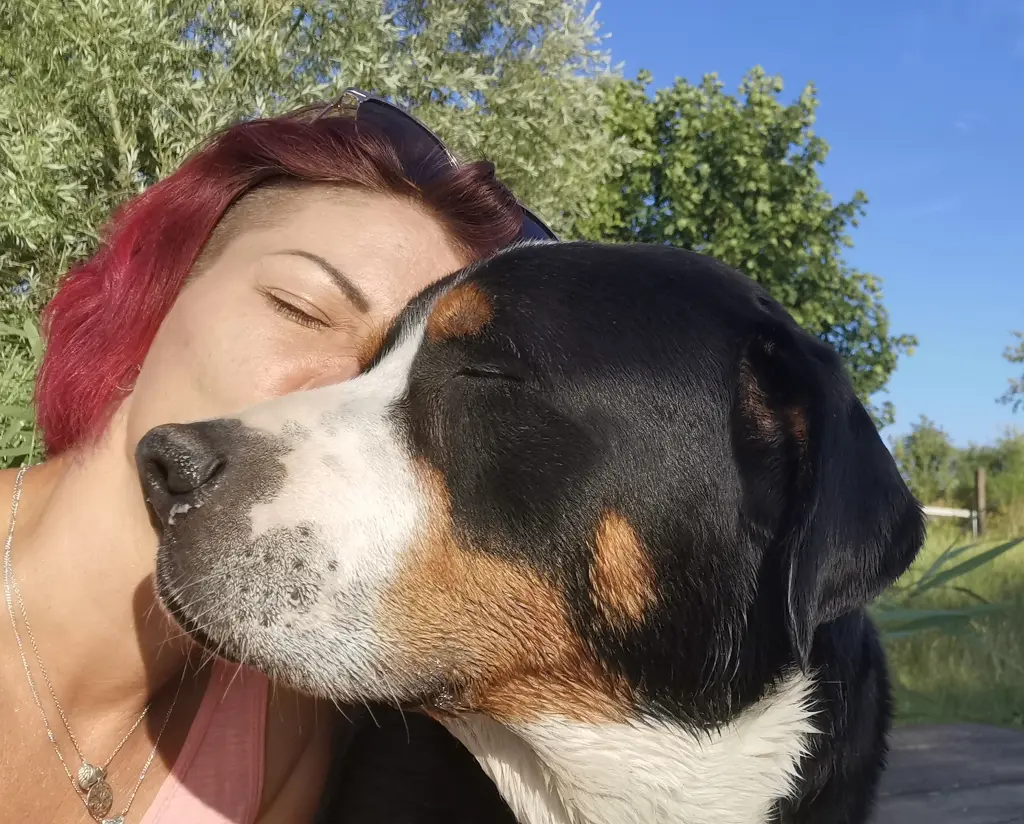 Bild von Buddy