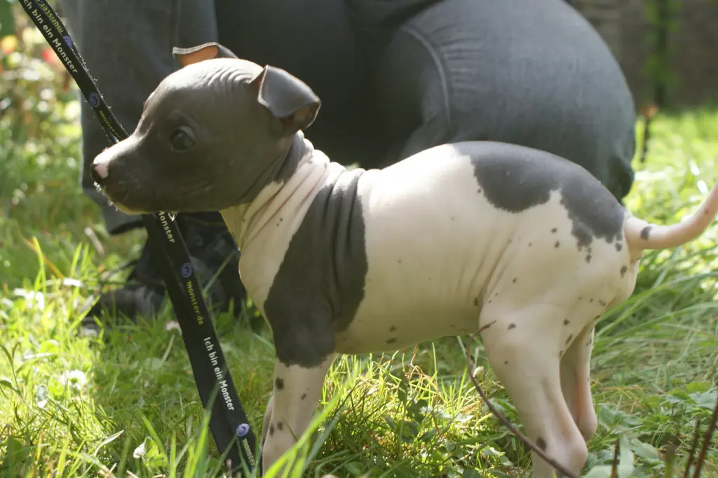 kleines "Ferkelchen" 🐷🥰