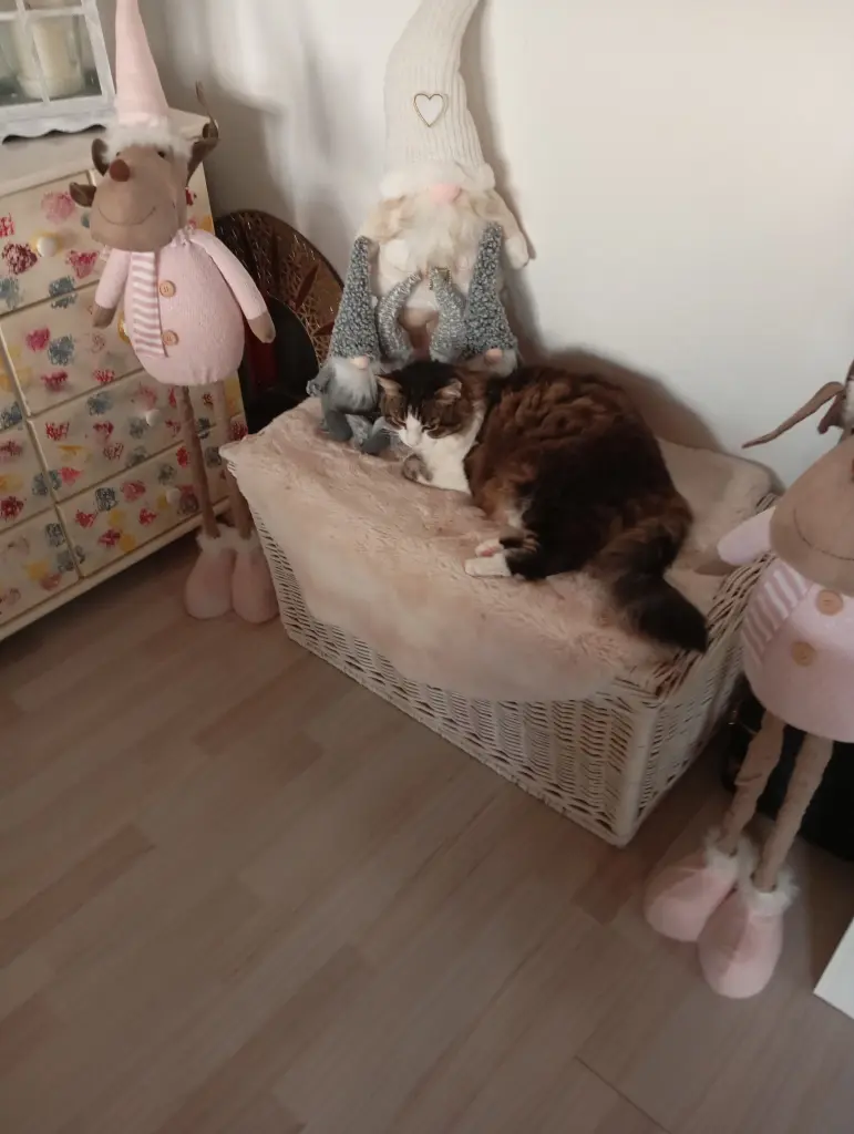 Bild von Filou