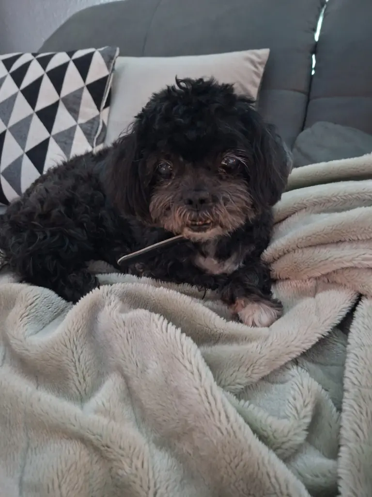 Condolence image of Grazyna Fryc