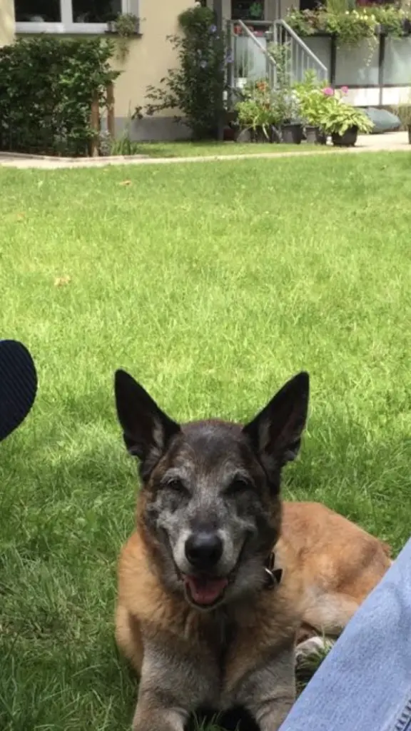 Condolence image of Sabine 
