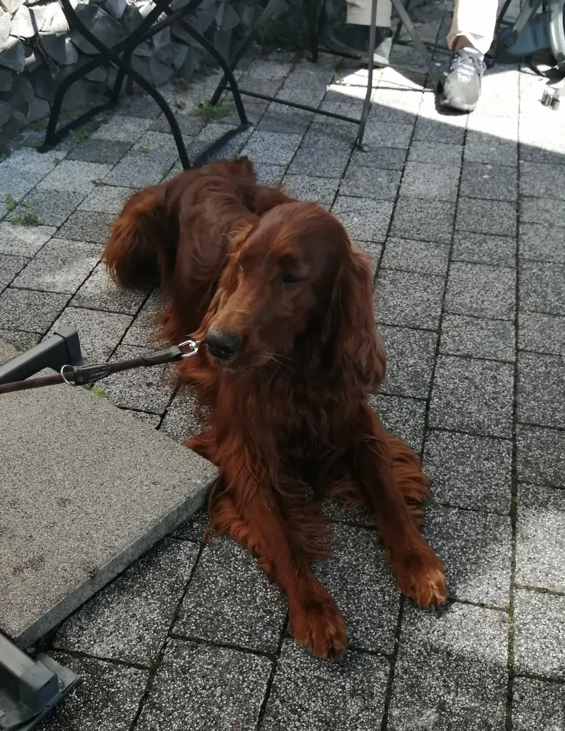 Image from Rufus