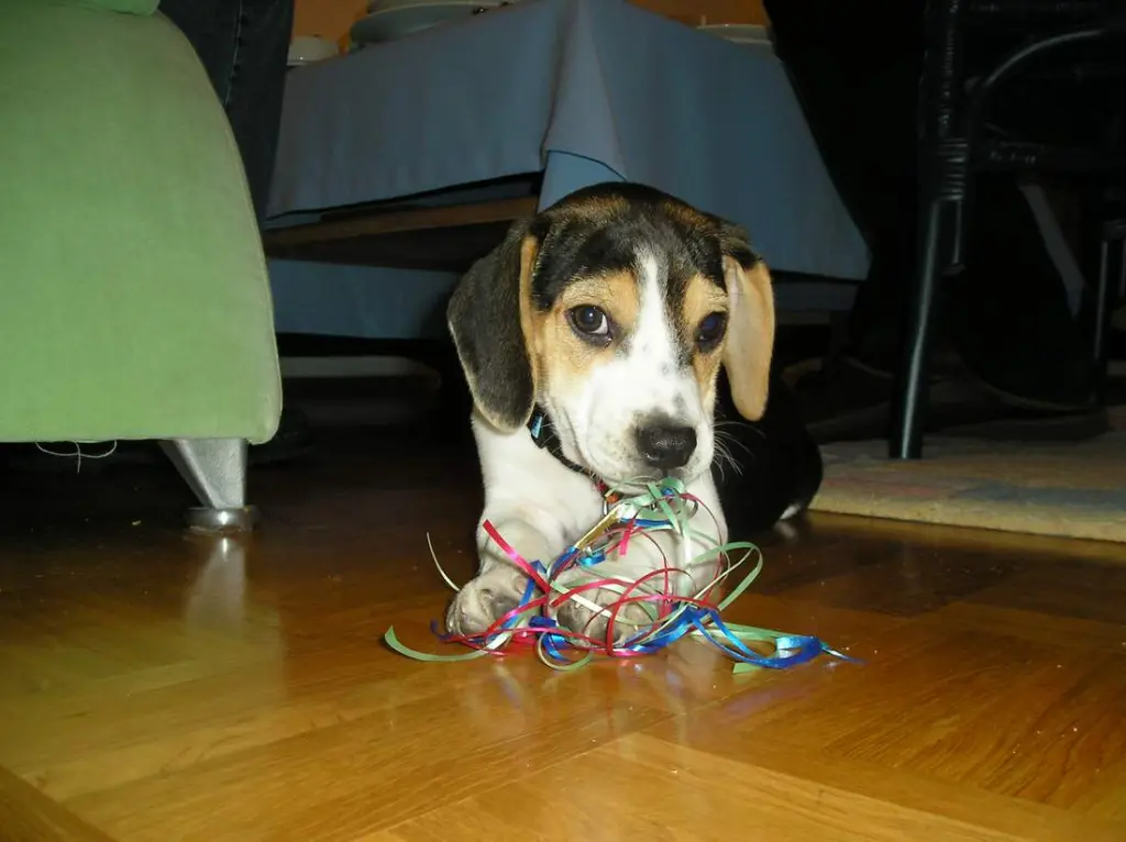 Image from Max