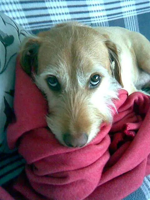 Condolence image of Christiane