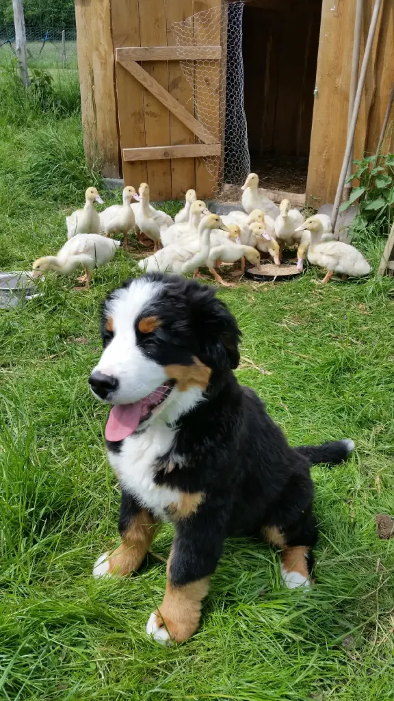 unser kleiner Entdecker