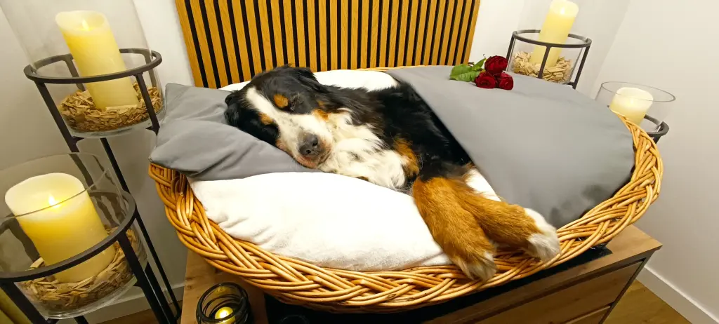 Wir danken Dir für die wunderbare Zeit und werden Dich immer lieben!