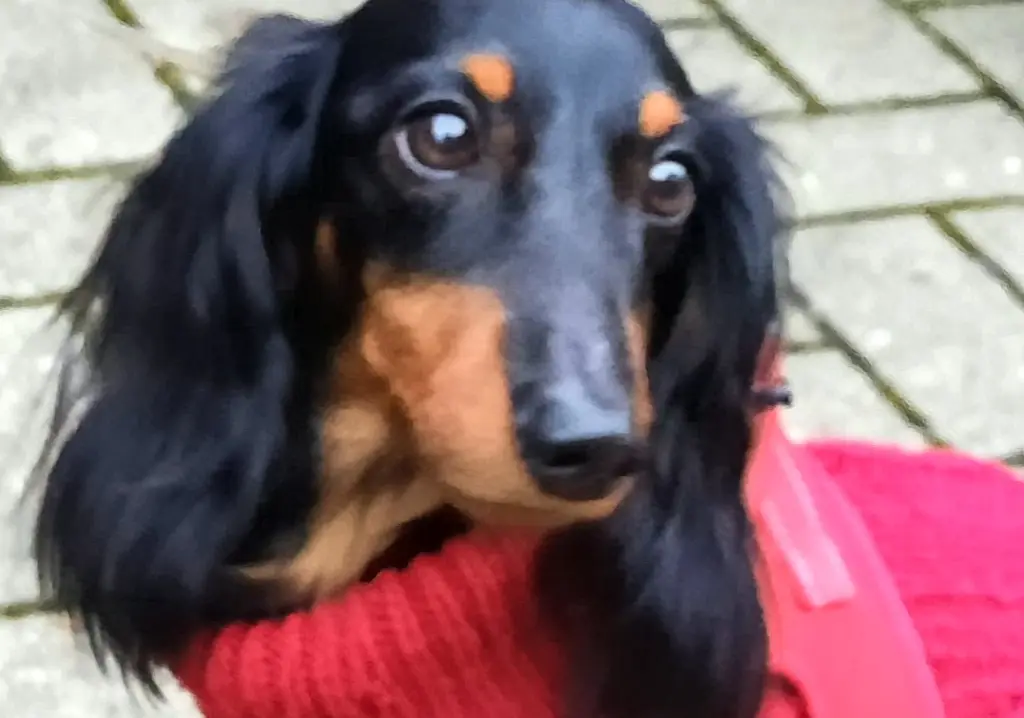 Condolence image of Yanca B