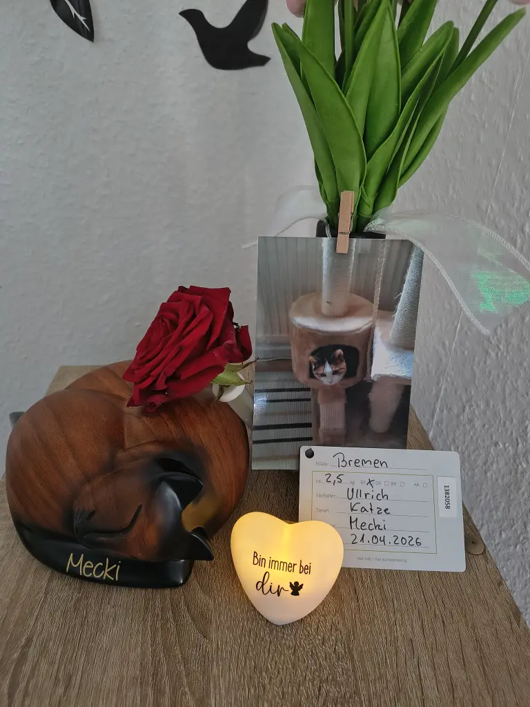 Image from Mecki