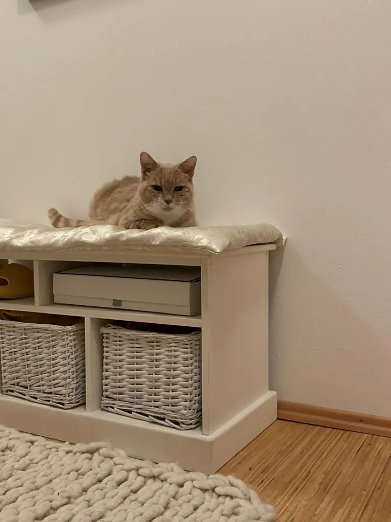 Image from Ducky