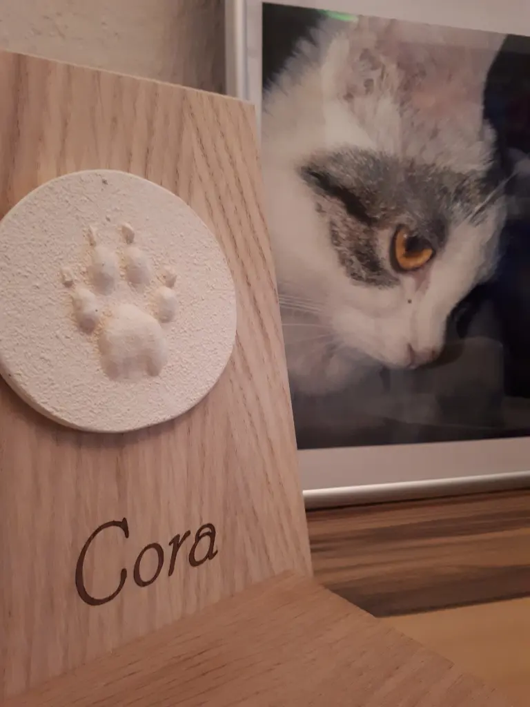 Image from Cora