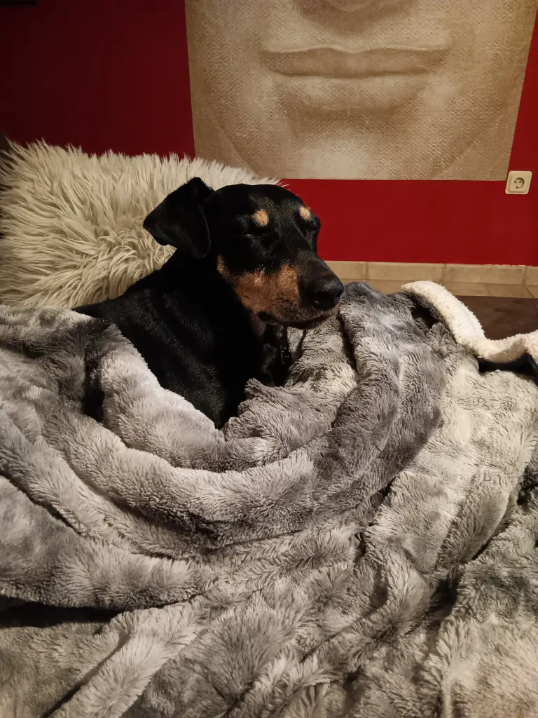 Kuschelzeit