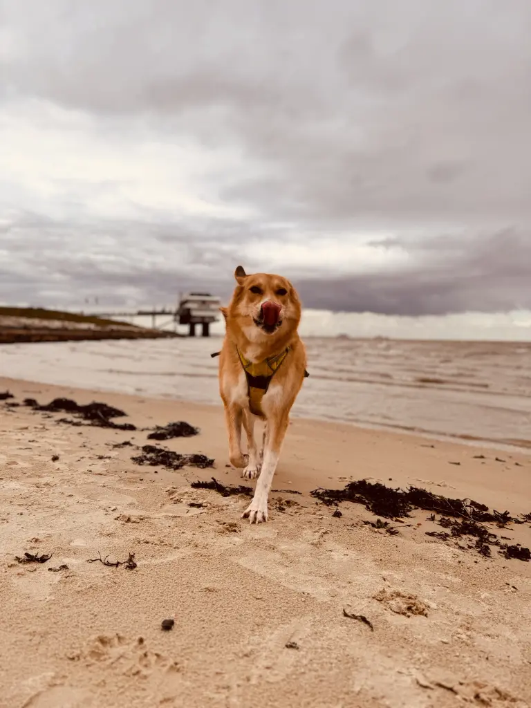 Bild von Chase