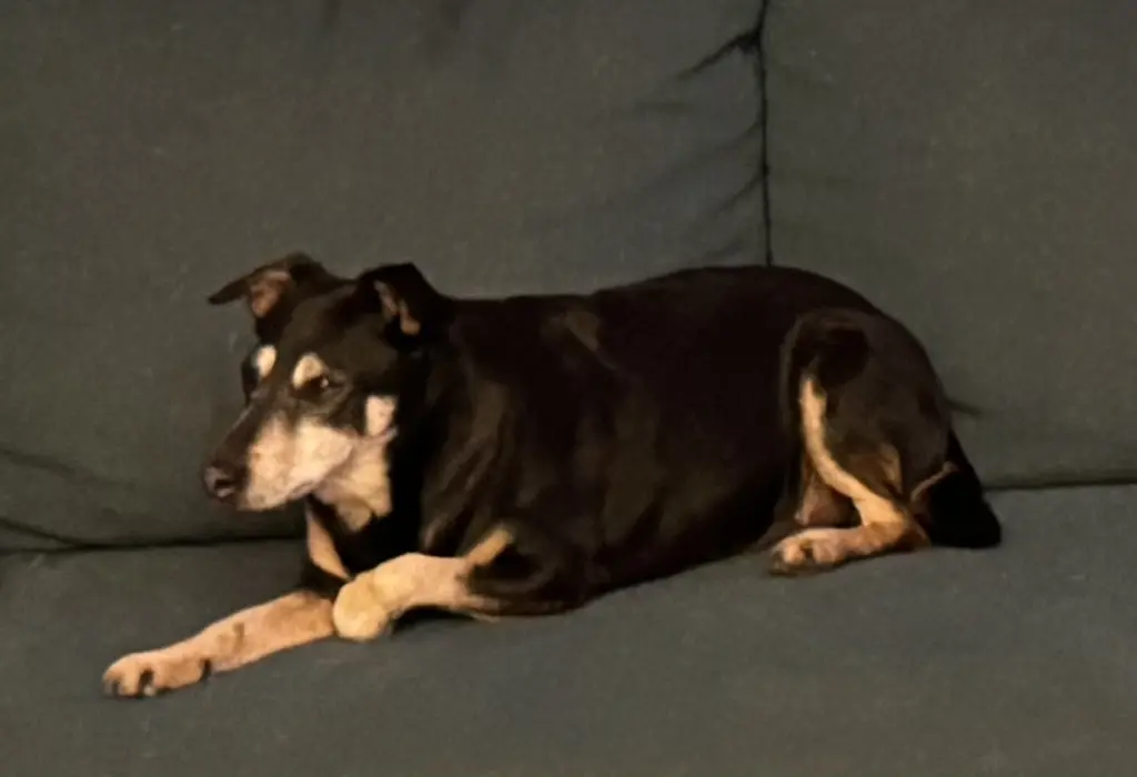 Condolence image of Sascha