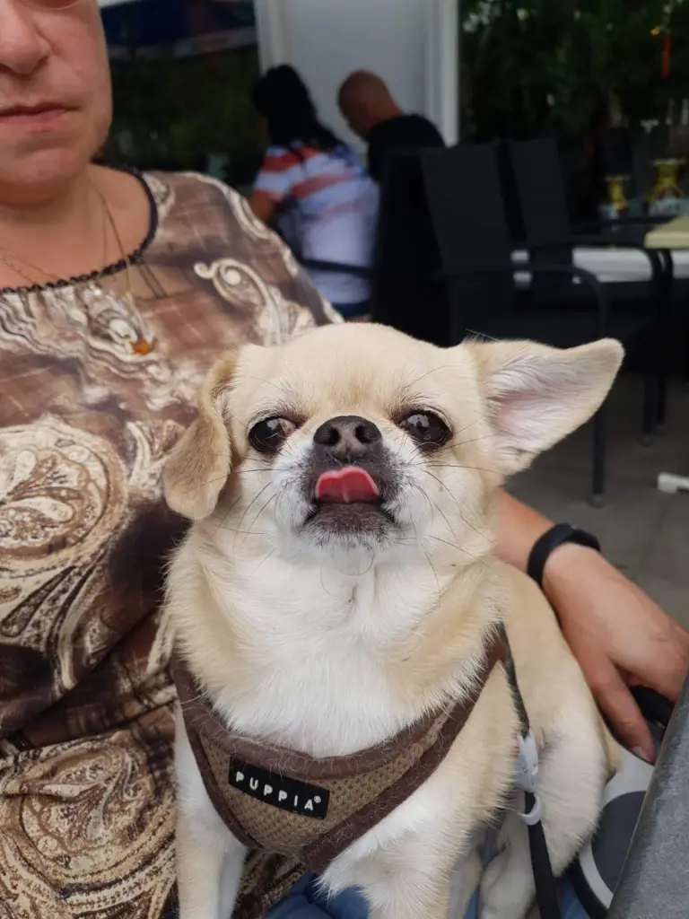 Image from Cubbie