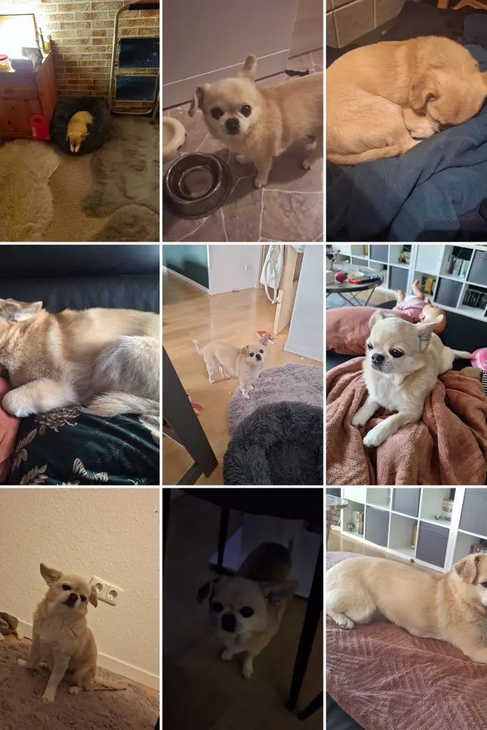 Image from Cubbie