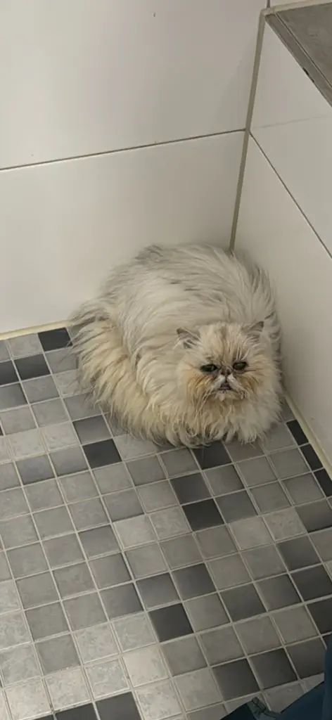 Die geliebte Dusche.
