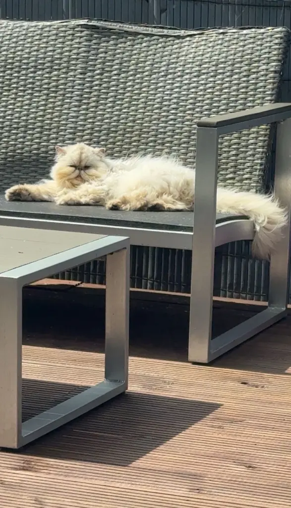 Und ihr geliebter Balkon.