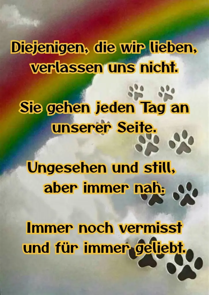 Image from Tommy