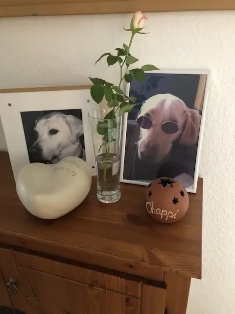Condolence image of Iris Groß