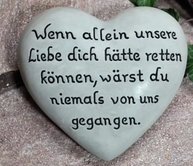 Condolence image of Hedi mit Puma und Max im Herzen 