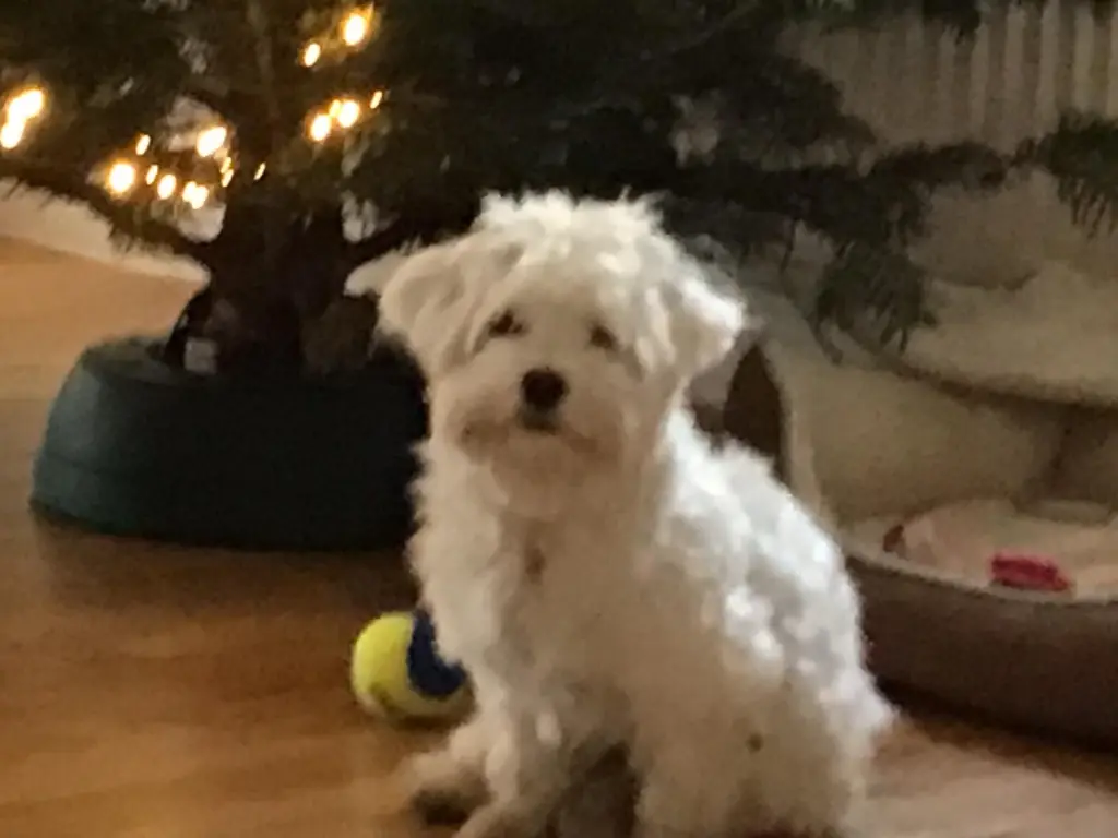 Bild von Max