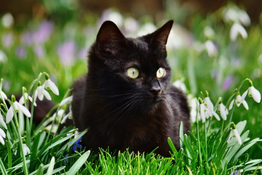 In ihrem Garten