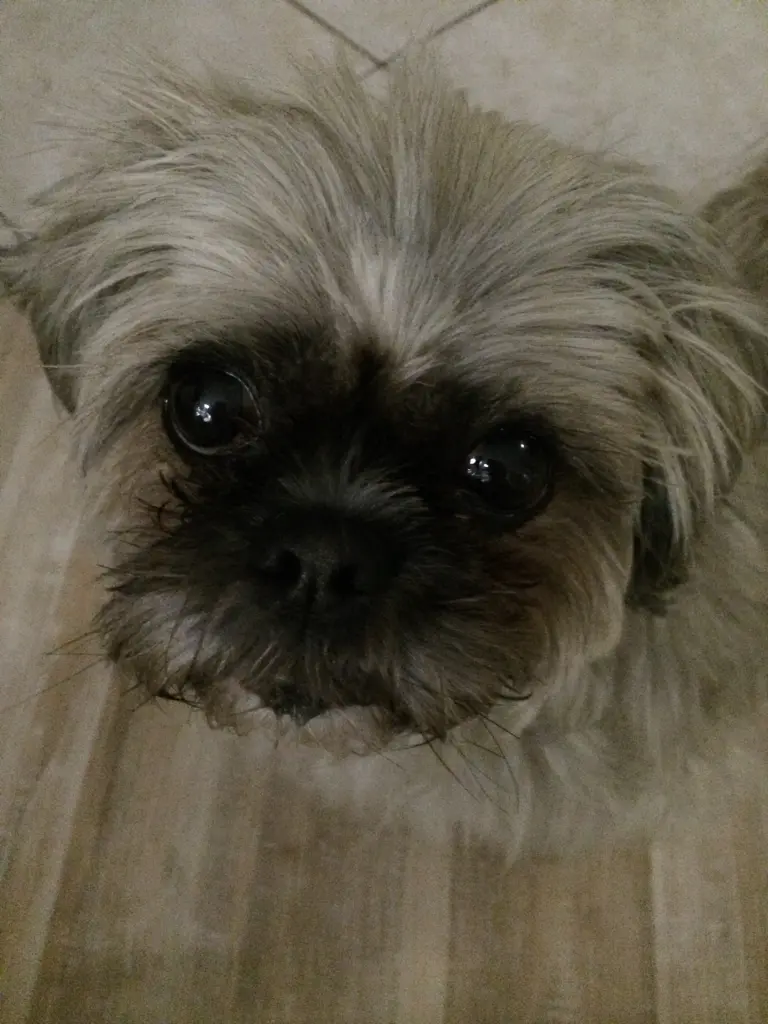 Condolence image of Melanie