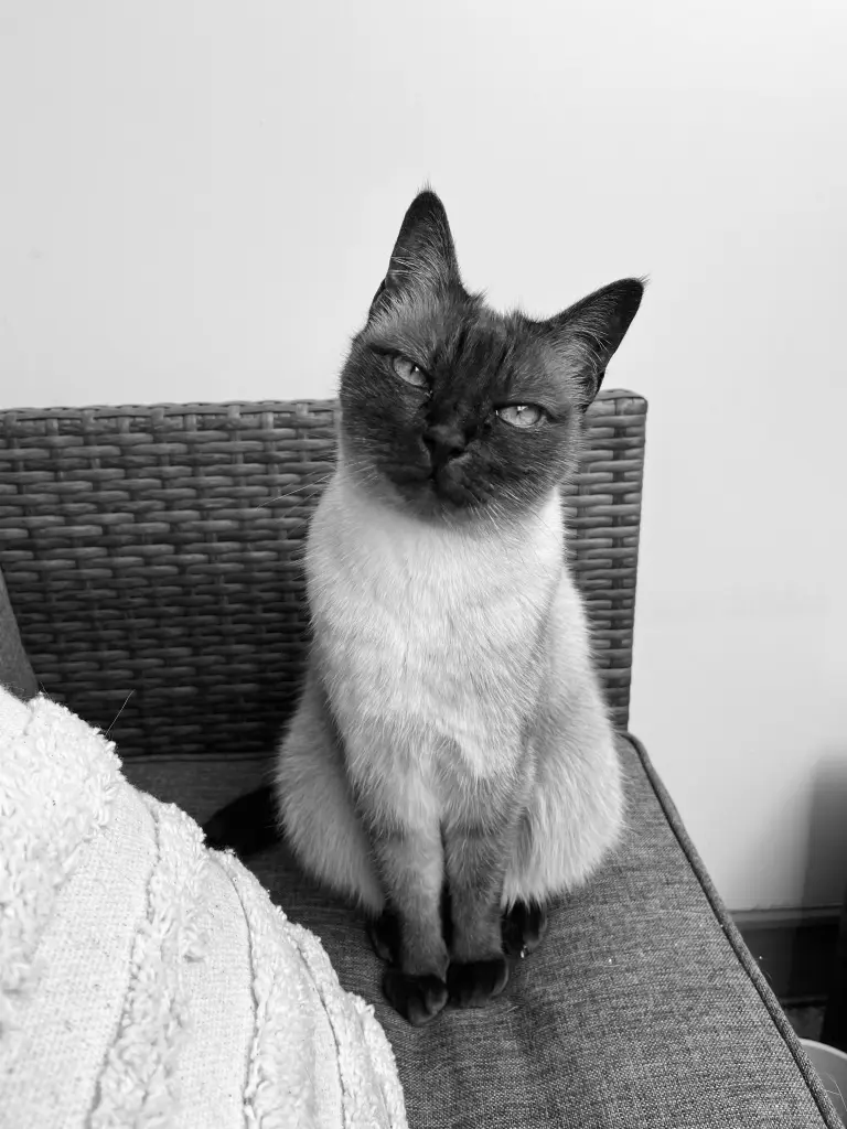 Condolence image of Lele