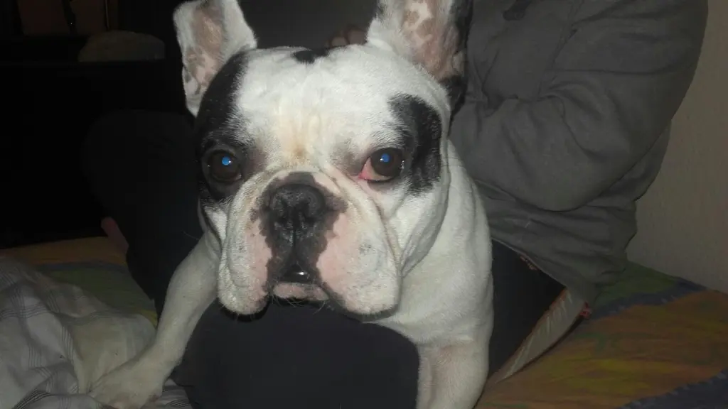 Bild von Thor