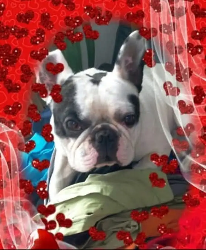Bild von Thor