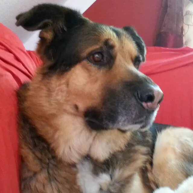 Bild von Ginny