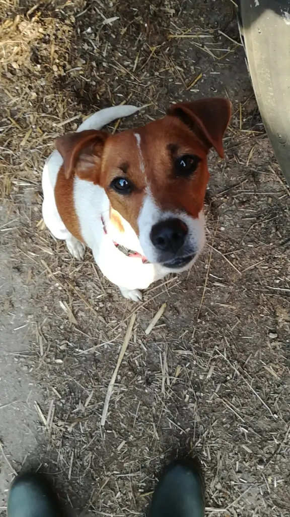 Bild von Lilly
