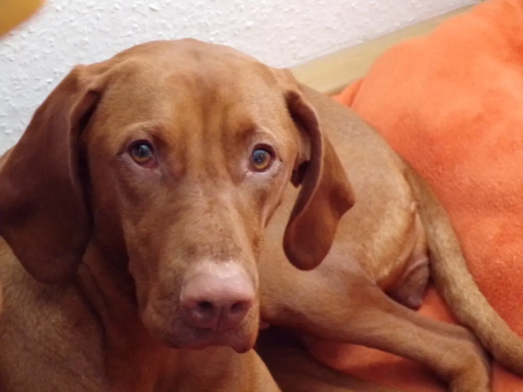 Bild von Emma