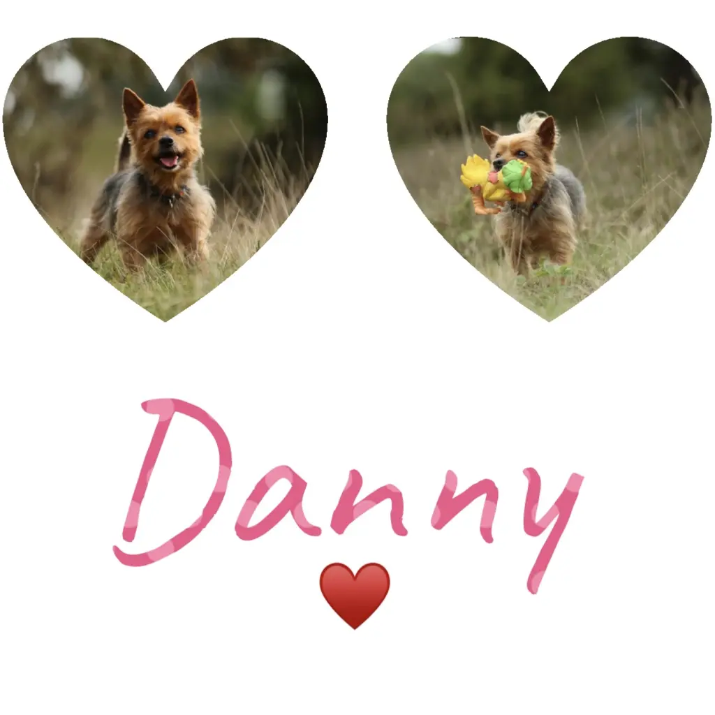 Image from Danny