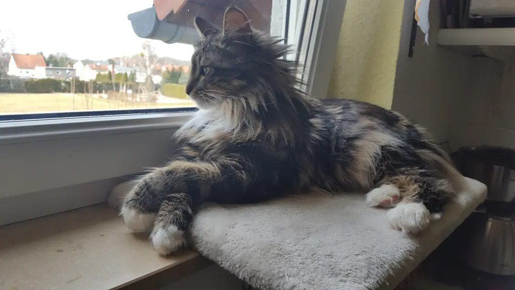 Bild von Gina