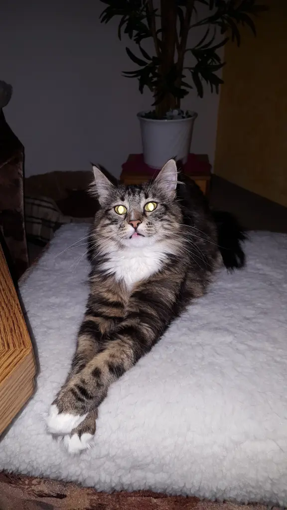 Bild von Gina