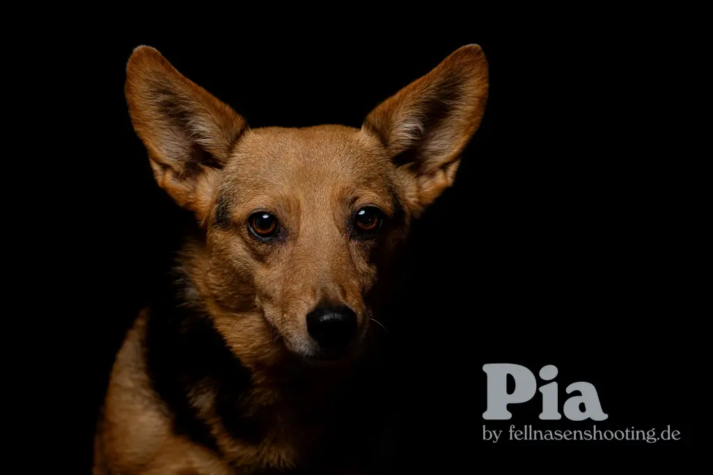 Image from Pia