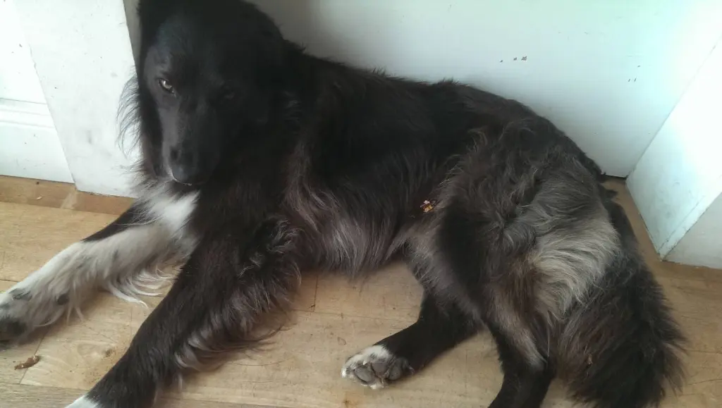 Bild von Jack