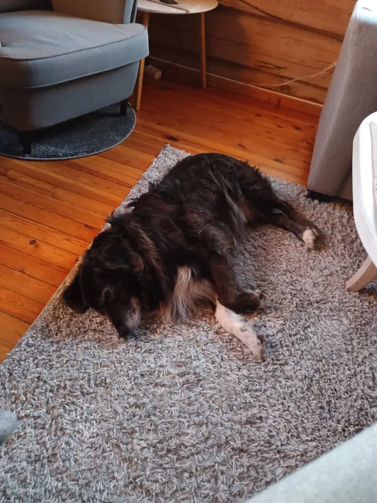 Bild von Jack