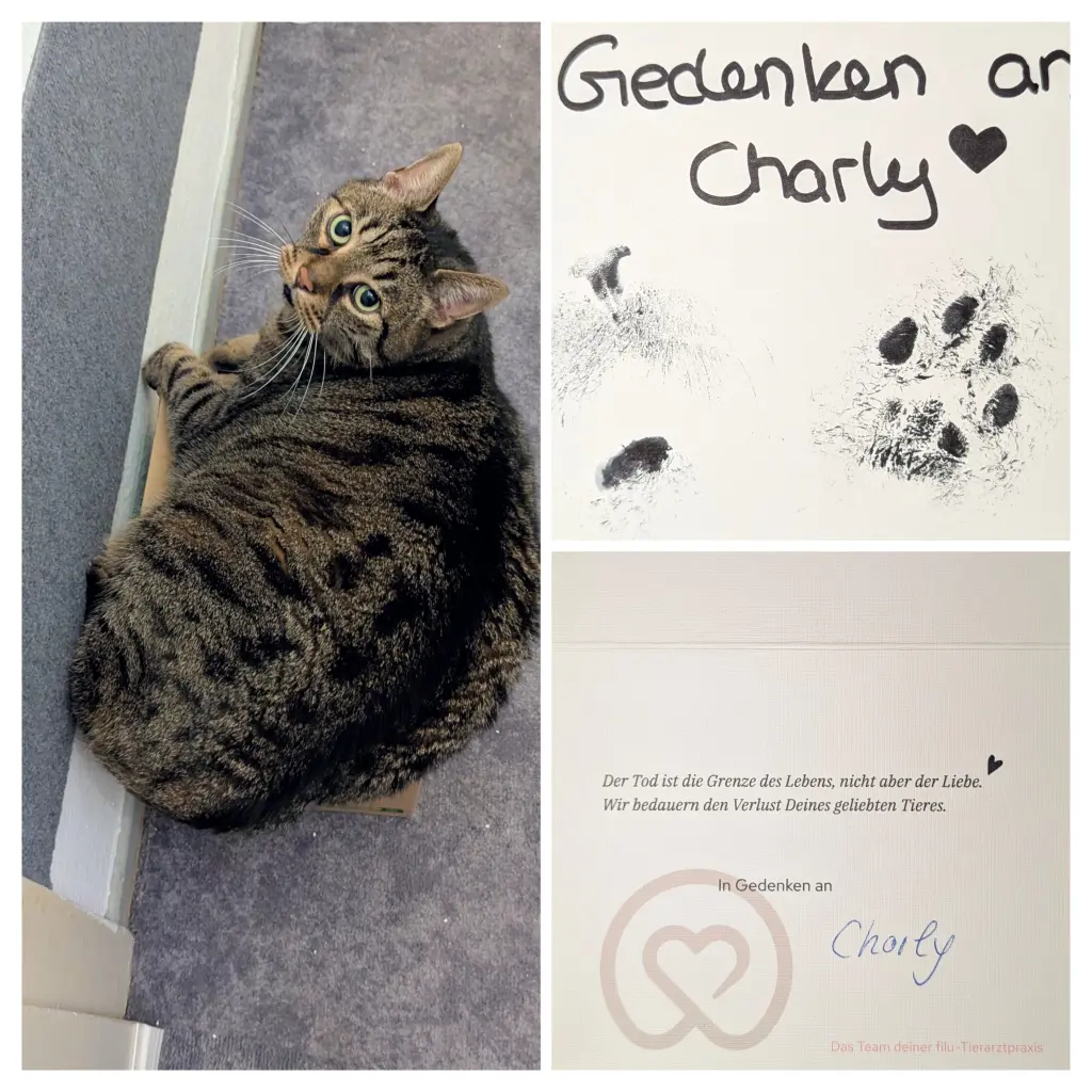 Bild von Charly