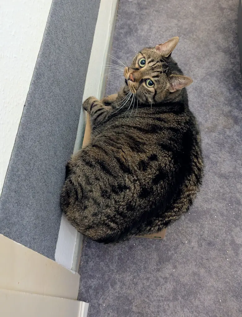 Bild von Charly