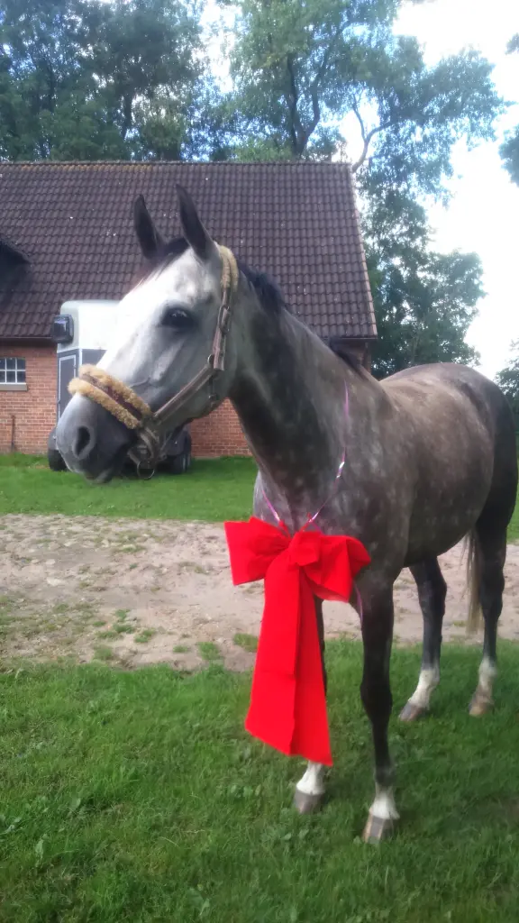 Das schönste Geschenk, das mir das Leben gemacht hat 💛