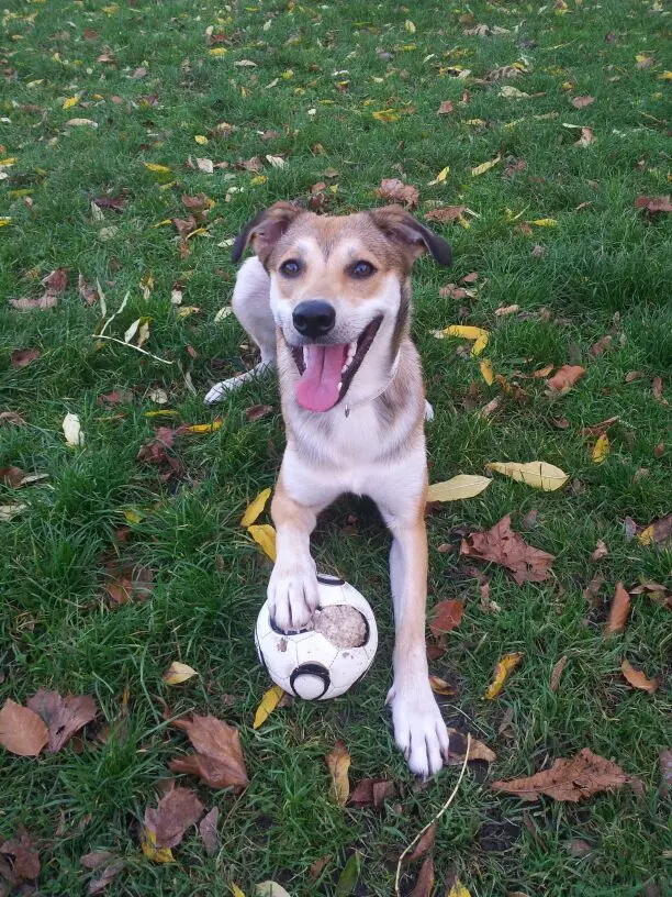 Bild von Lucy