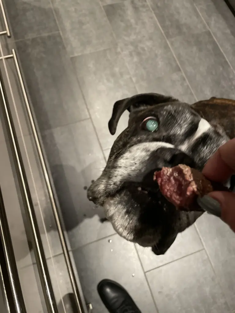 Körperclown