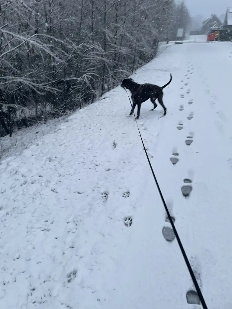 Liebe zu Schnee